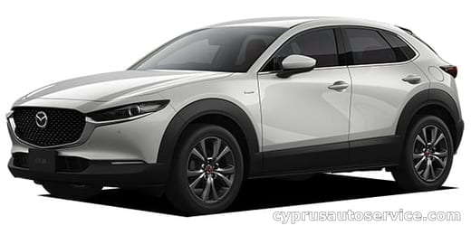 MAZDA CX30 20S 100TH ANNIVERSARY SPECIAL EDITION