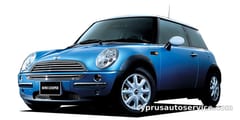 MINI MINI 2ND ANNIVERSARY MODEL