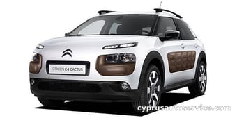 C4 CACTUS