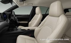 LEXUS UX300H