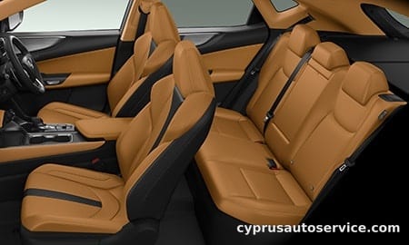 LEXUS NX250
