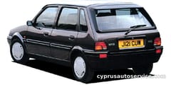 ROVER 100