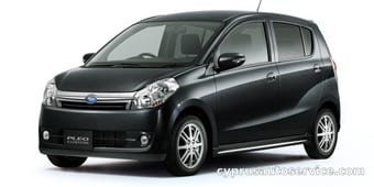 PLEO CUSTOM