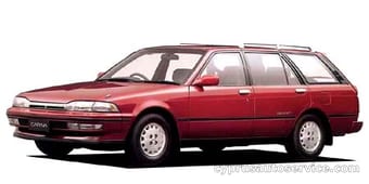 CARINA SURF