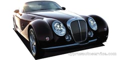 MITSUOKA HIMIKO