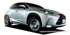 LEXUS NX200T
