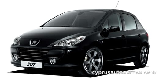 PEUGEOT 307 FELINE