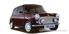 ROVER MINI
