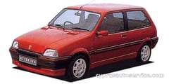 ROVER 100
