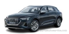 AUDI ETRON S