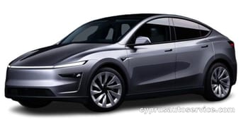 MODEL Y