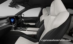 LEXUS RX500H