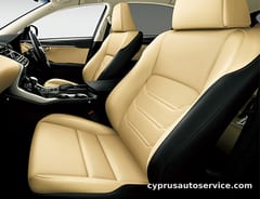 LEXUS NX300H