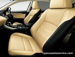 LEXUS NX300H
