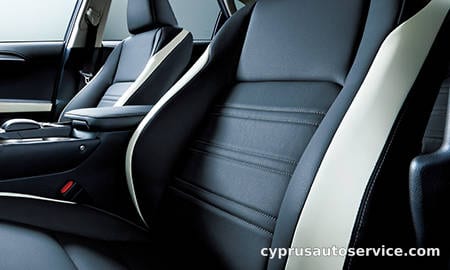 LEXUS NX300H BLACK SEQUENCE