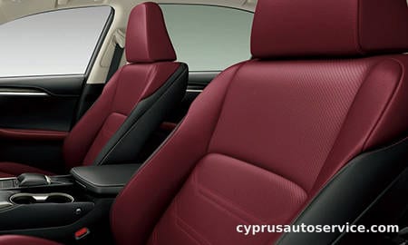 LEXUS NX300H