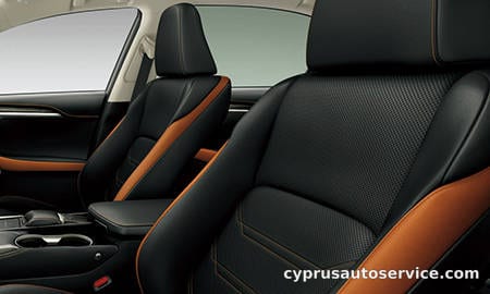 LEXUS NX300