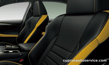 LEXUS NX300 F SPORT
