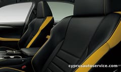 LEXUS NX300