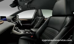 LEXUS NX300