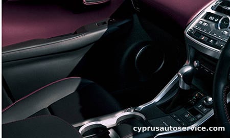 LEXUS NX300 SPICE&CHIC