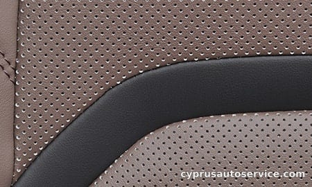 LEXUS UX300H GRACEFUL EXPLORER