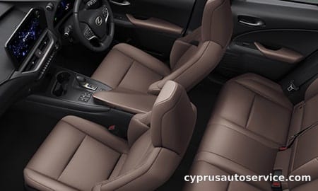 LEXUS UX300H GRACEFUL EXPLORER