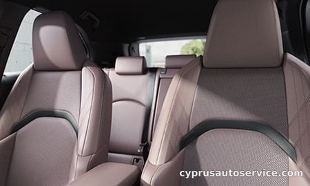 LEXUS UX300H GRACEFUL EXPLORER