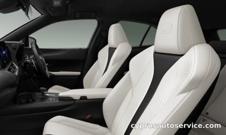 LEXUS UX300H F SPORT
