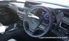 LEXUS UX300E