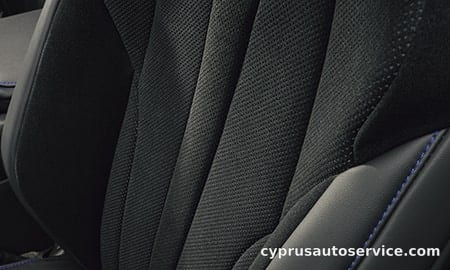 LEXUS RZ600E F SPORT PERFORMANCE