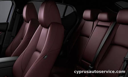 MAZDA 3 FASTBACK 20S BURGUNDY SELECTION