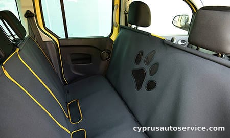 RENAULT KANGOO WITH PET