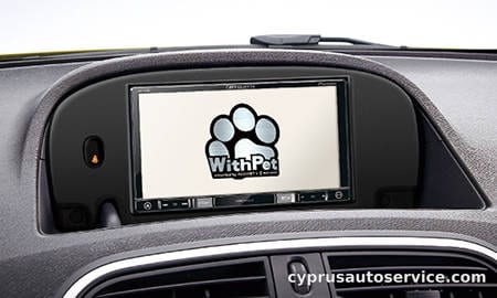 RENAULT KANGOO WITH PET