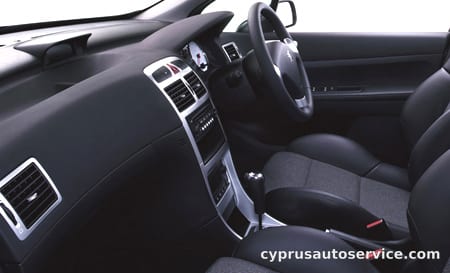 PEUGEOT 307 FELINE 2.0